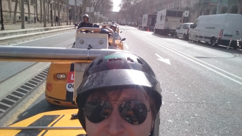 Stadrundfahrt mit den GoCars